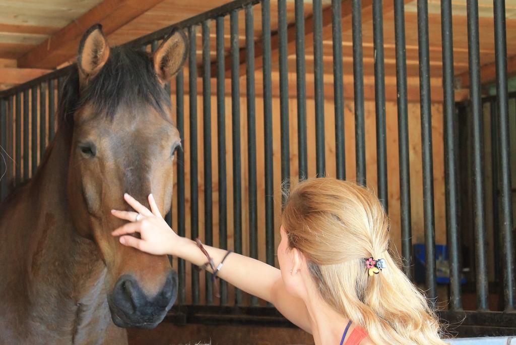 Stajnia Sarnowek Nad Jeziorem Rozany Rozajny Wielkie Luaran gambar