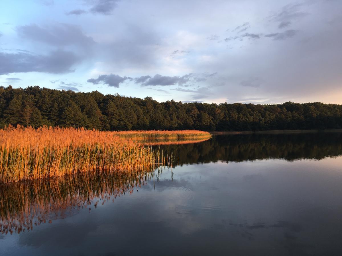 Stajnia Sarnowek Nad Jeziorem Rozany Rozajny Wielkie Luaran gambar